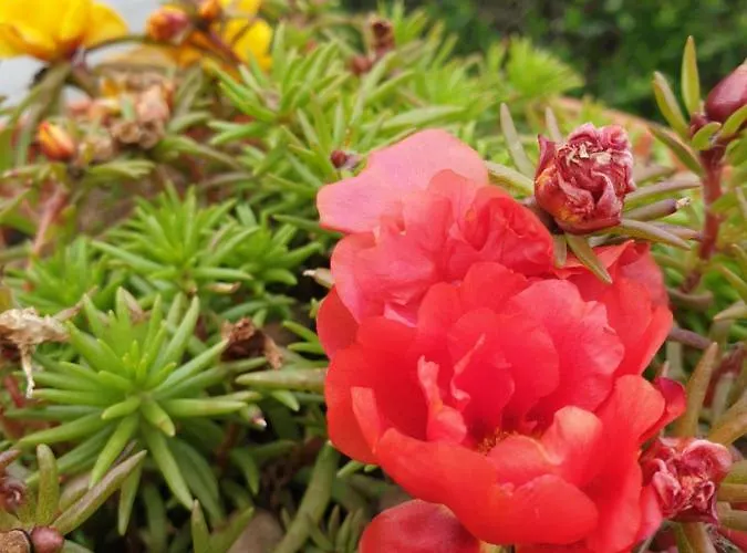 Bed & Breakfast Favola Exclusive